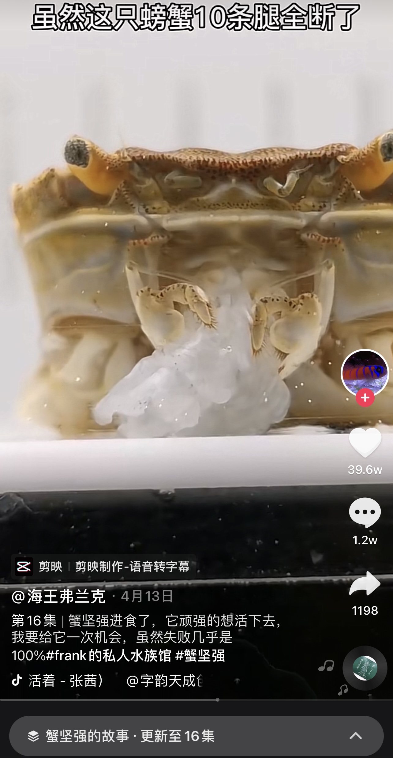 让“蟹坚强”重生的“海王”工程师，195万人看他在抖音养鱼
