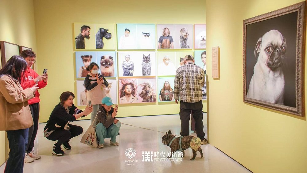 观众携宠看展.jpg