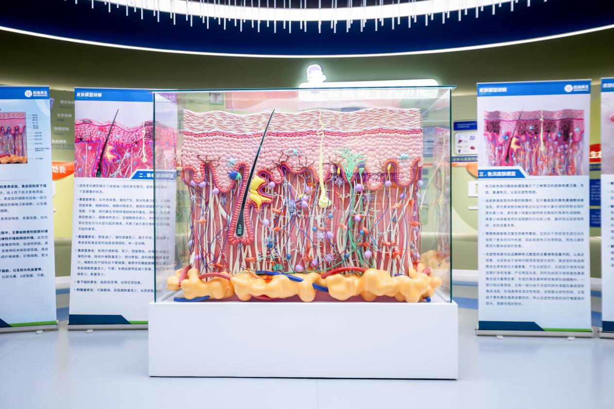 1766538959875352.jpg 图片1.jpg