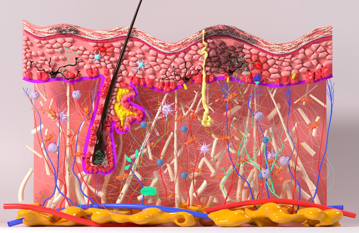 1766538992884600.jpg 图片5.jpg