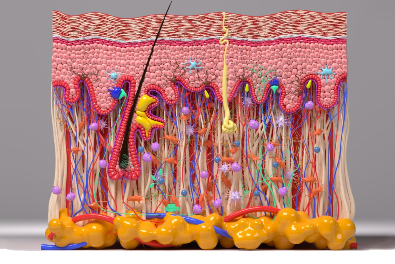 1766539009377823.jpg 图片7.jpg